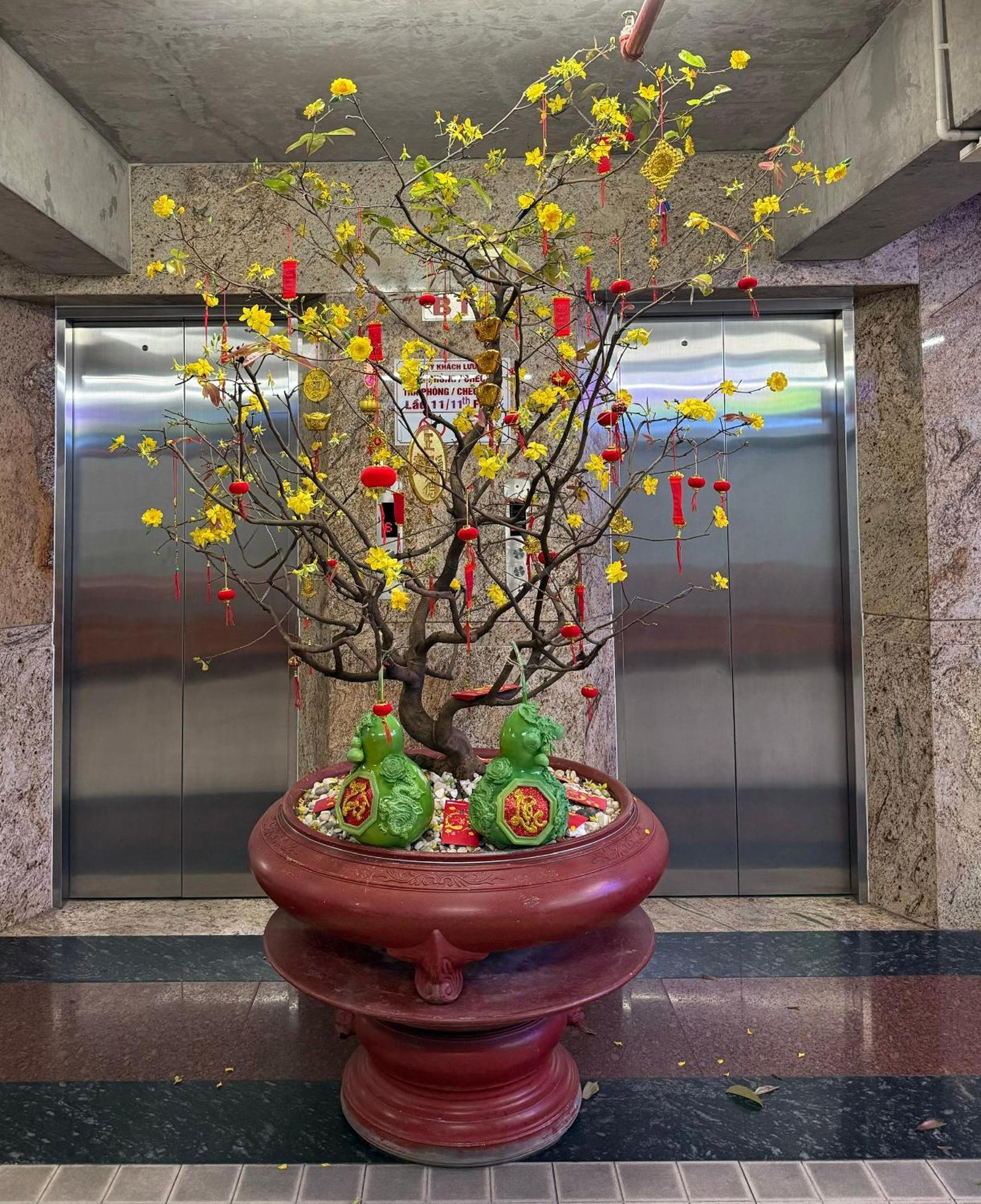 Thien Tai Hotel 胡志明市 外观 照片